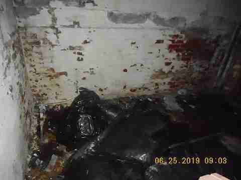 3011 Virginia Park (26)_m.jpg